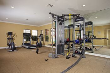 Free weights in gym